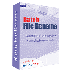 batch file rename all files in folder